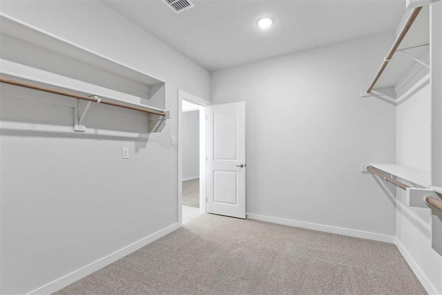 Spacious closet featuring carpet