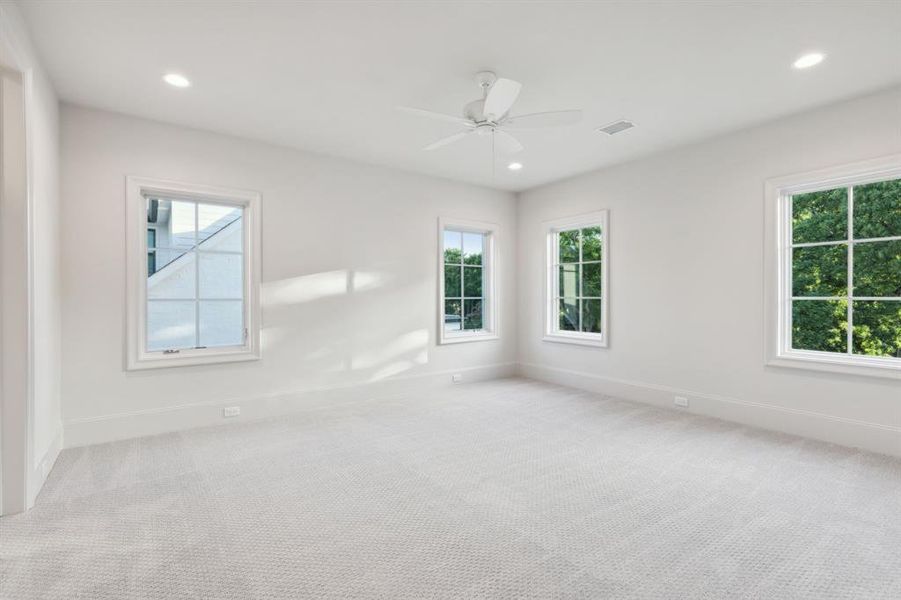Spare room featuring carpet, ceiling fan, and plenty of natural light