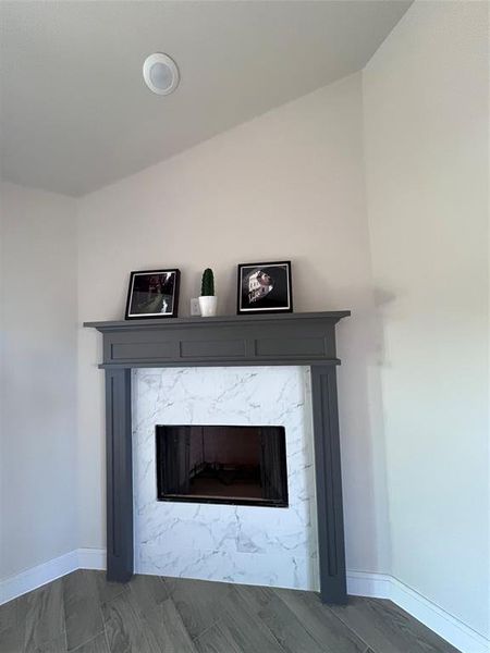 Interior details featuring a premium fireplace and hardwood / wood-style flooring