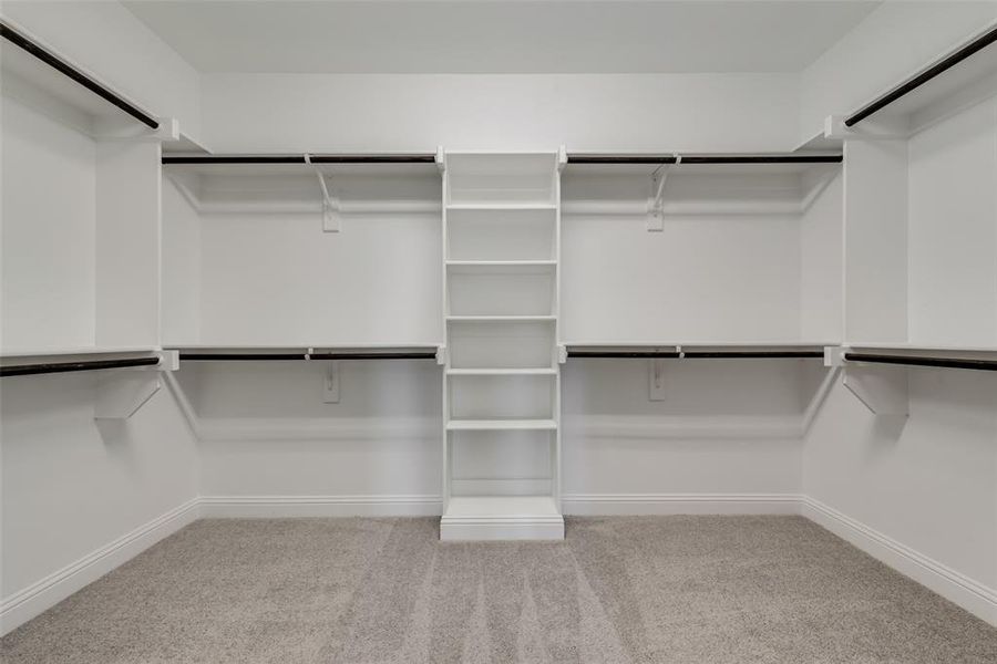 Walk in closet with carpet floors