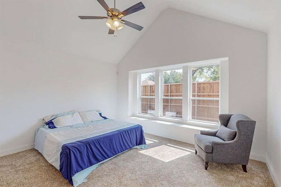 Primary Bedroom with high vaulted ceiling. large windows, and ceiling fan.