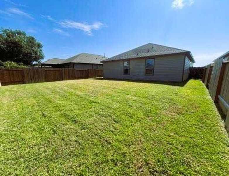 So many possibilities in this spacious back yard