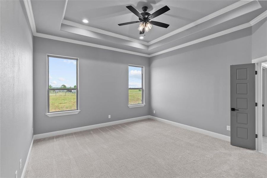 Spare room featuring a raised ceiling, light colored carpet, and ceiling fan