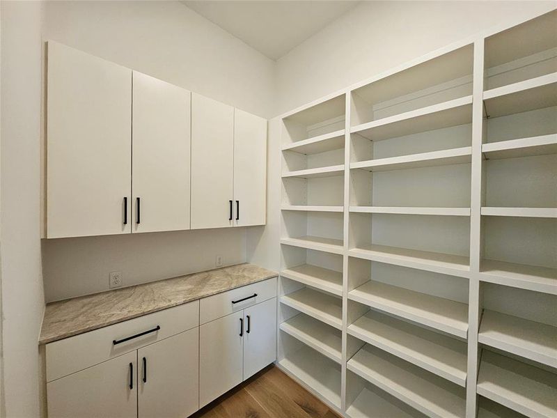 Large pantry with appliances counter and lots of shelf space and built in cabinets
