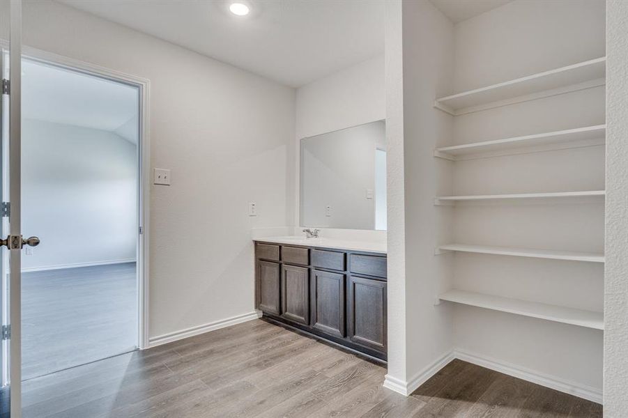 Bathroom with wood-type flooring and vanity