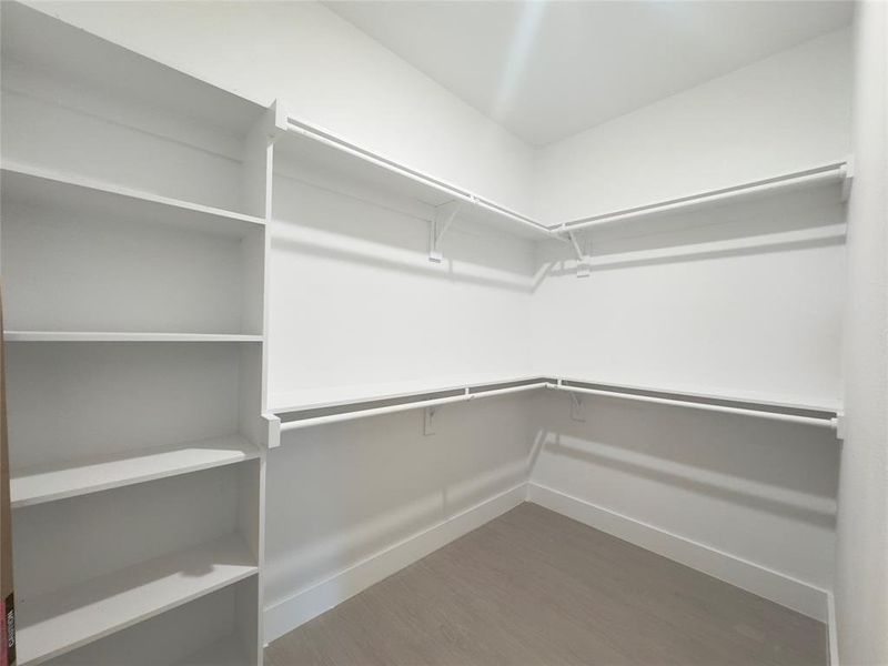 Spacious closet featuring hardwood / wood-style flooring