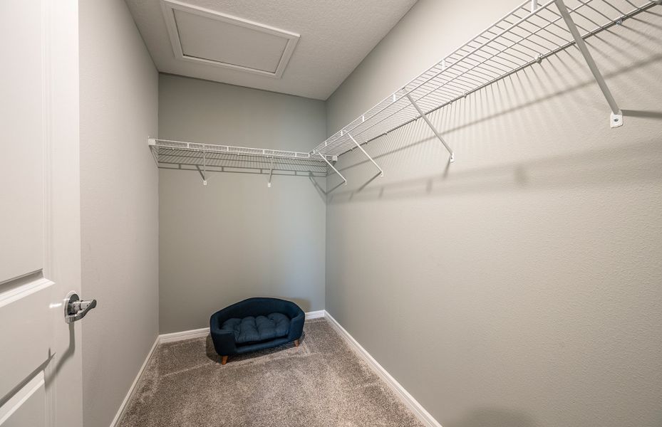 Owner's Walk-In Closet