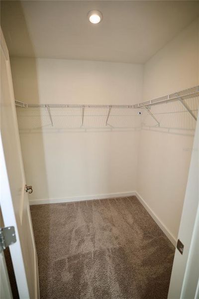 Primary Suite Walk In Closet