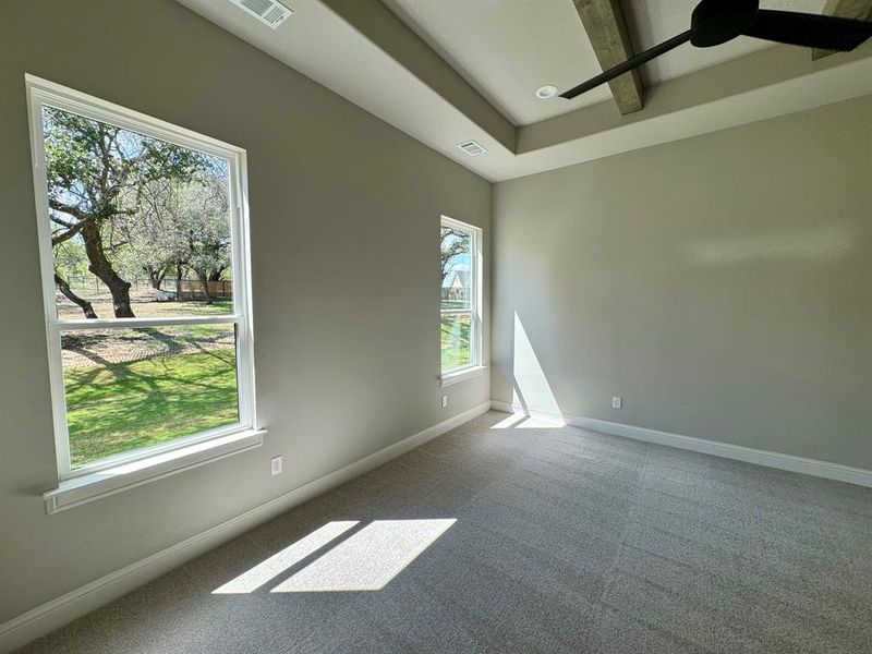 Carpeted spare room with a raised ceiling