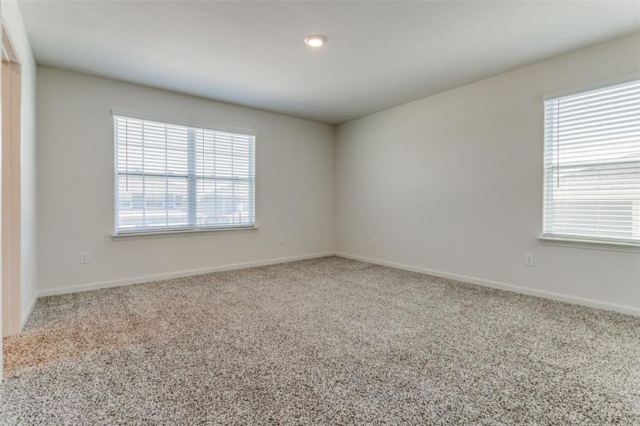 Empty room featuring carpet and a wealth of natural light