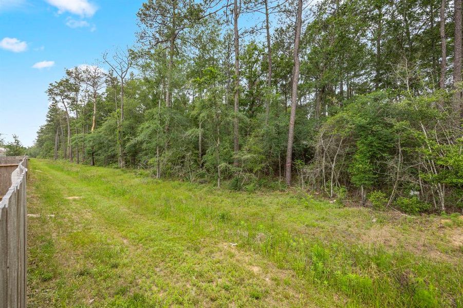 Backyard showing  Greenbelt