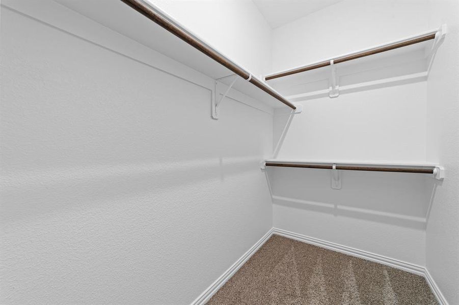 Spacious closet featuring carpet floors