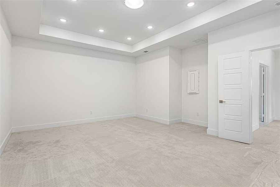 Spare room with light carpet and a tray ceiling