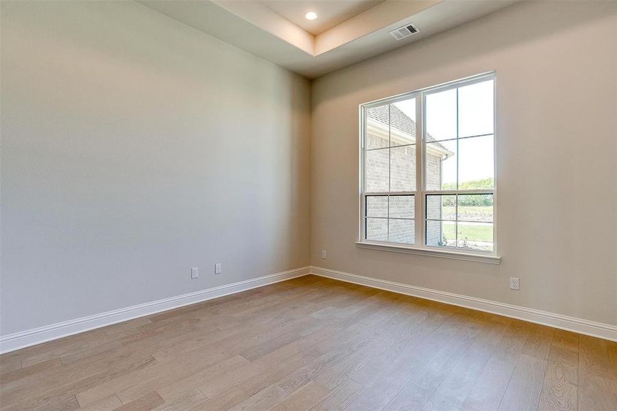 Spare room with light hardwood / wood-style flooring and a tray ceiling