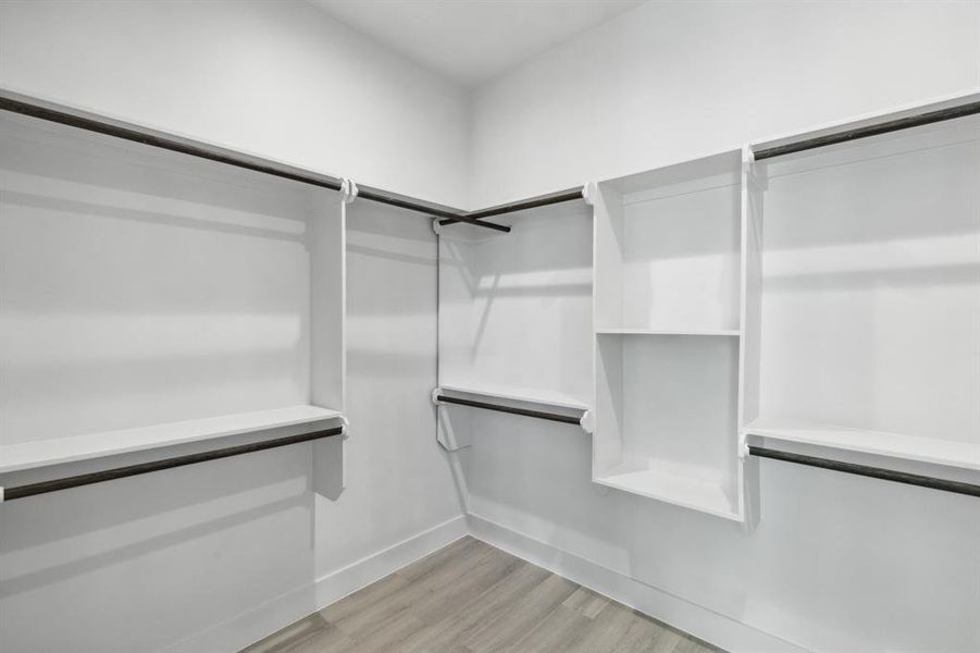 Spacious primary closet with light hardwood / wood-style flooring