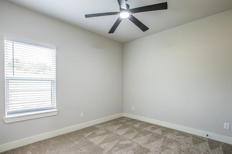 Spare room with carpet flooring, a wealth of natural light, and ceiling fan