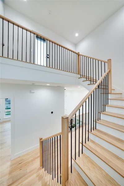 Stairs with hardwood / wood-style flooring