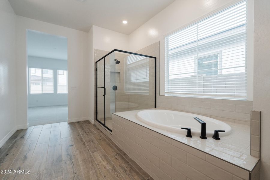 Madera Lot 166 - Primary Bathroom-002