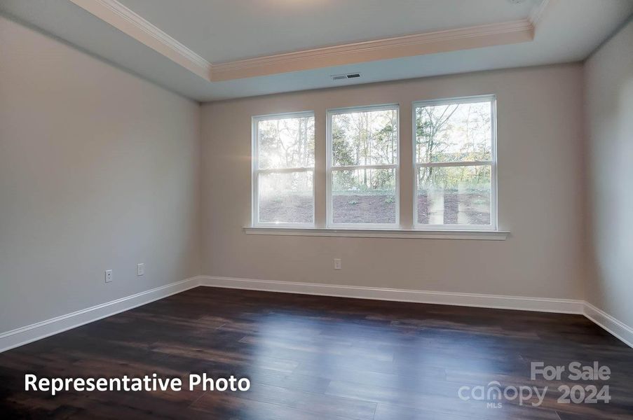 Primary bedroom with tray ceilings