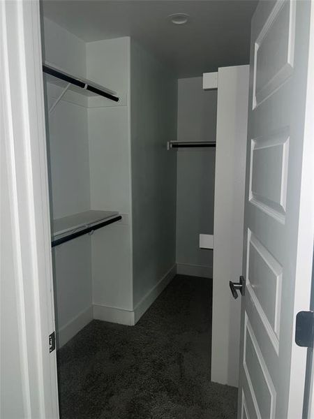 Spacious closet with dark colored carpet