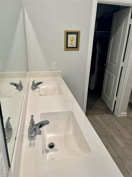 Bathroom with wood-type flooring and vanity