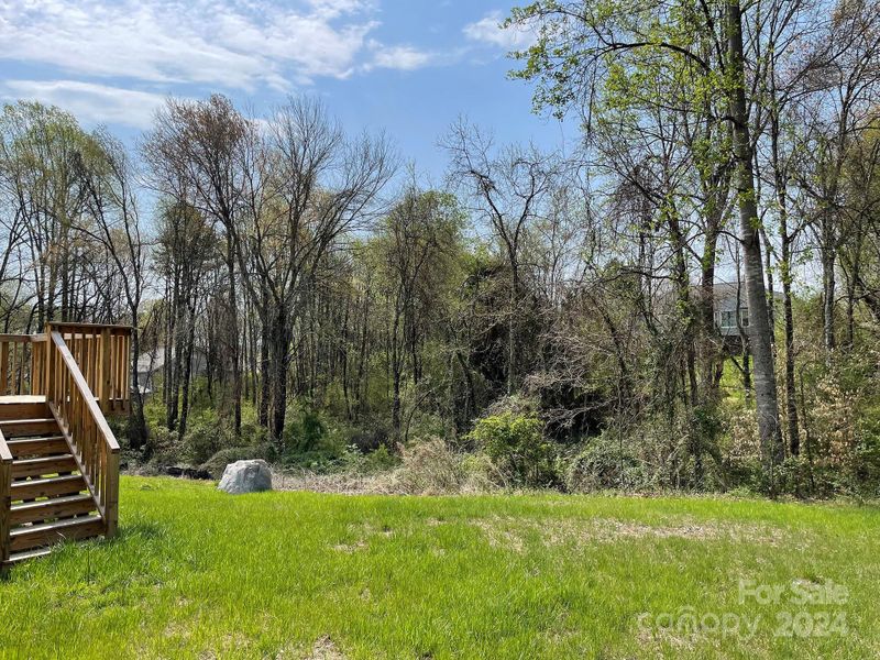 Backyard with mature trees