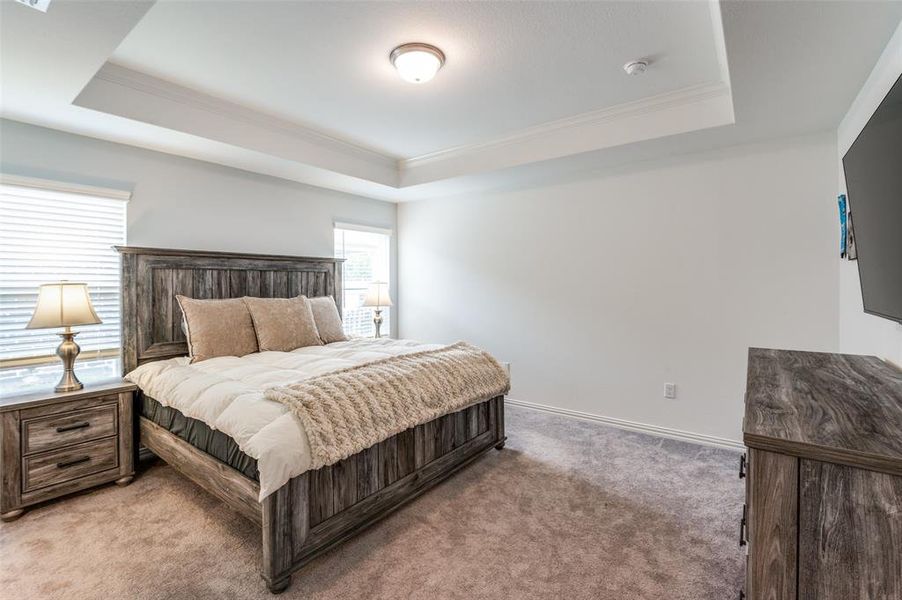 Primary Bedroom with Tray Ceiling