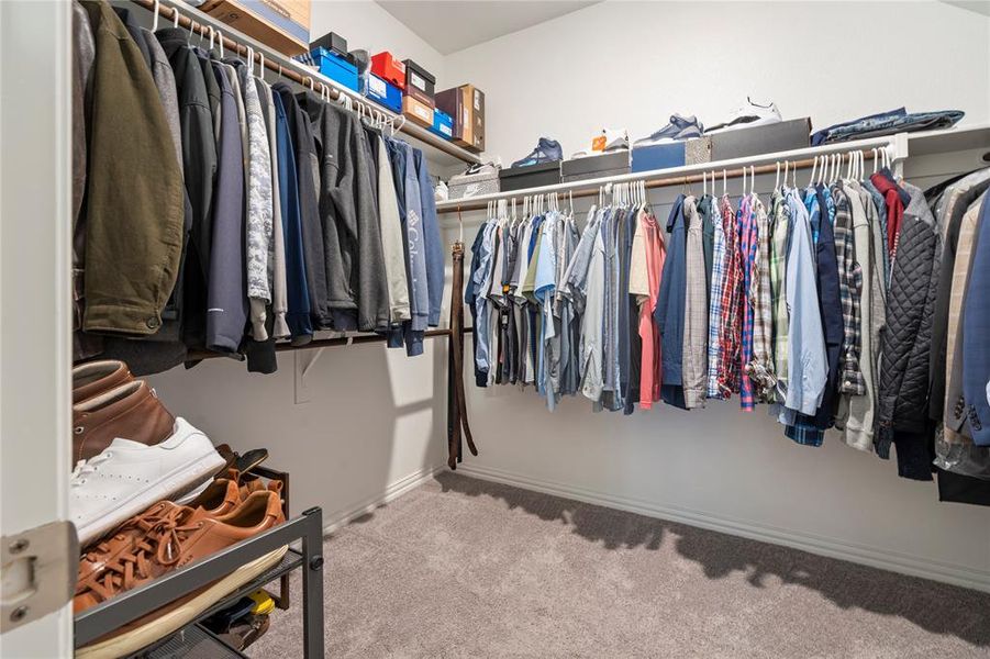 Spacious closet with carpet