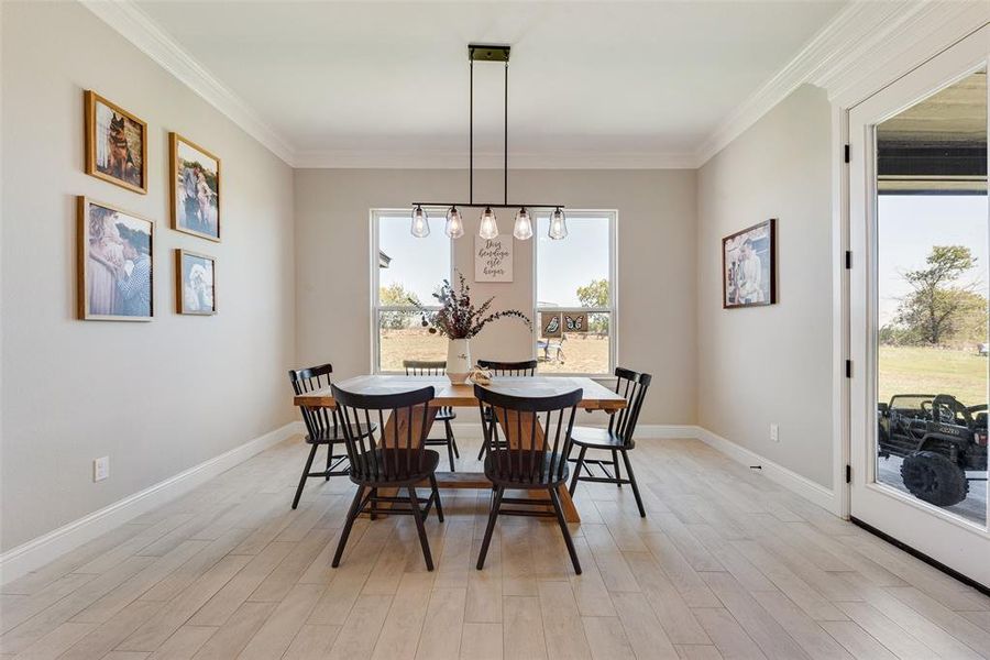 Dining space featuring a chandelier, light hardwood / wood-style floors, and crown molding