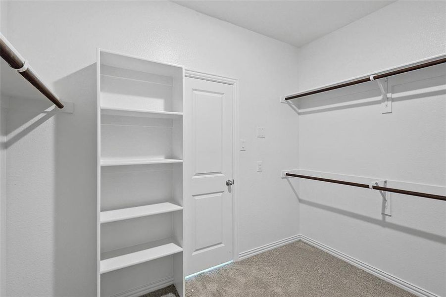 Walk in closet with carpet