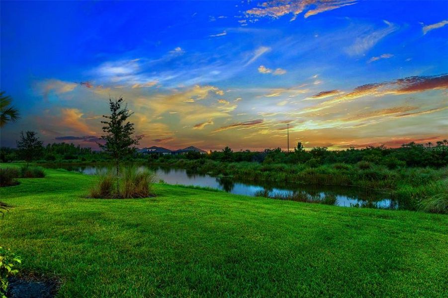 Evening backyard view