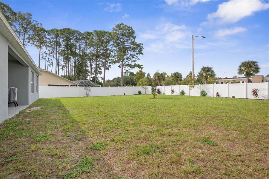 Large Fenced-in Backyard with added landscaping.