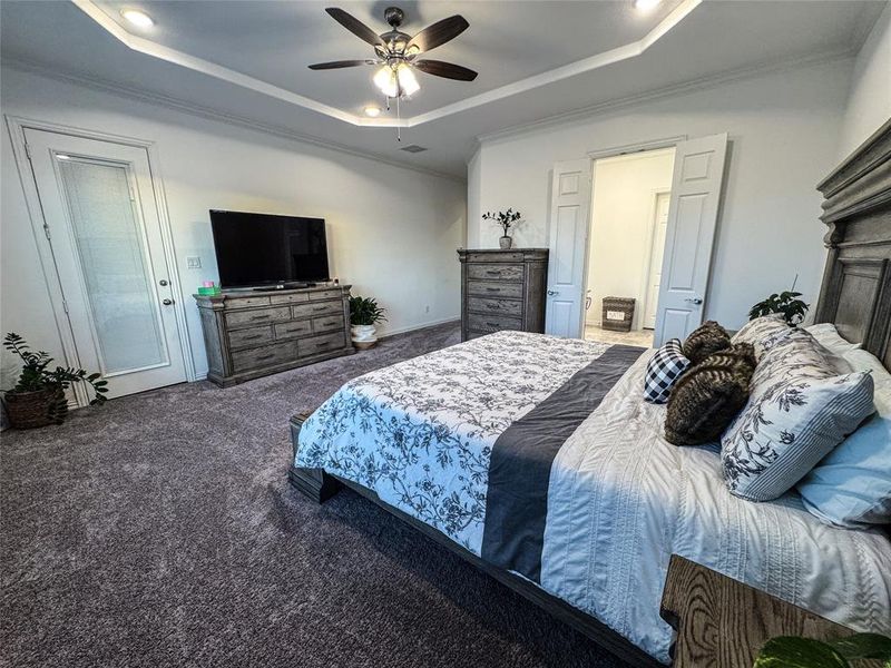 Carpeted bedroom featuring ornamental molding, a tray ceiling, a fireplace, and ceiling fan