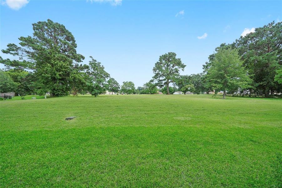 Green space in the back of the townhome.