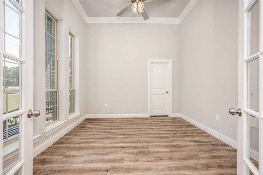 Spare room with ceiling fan, hardwood / wood-style flooring, and crown molding