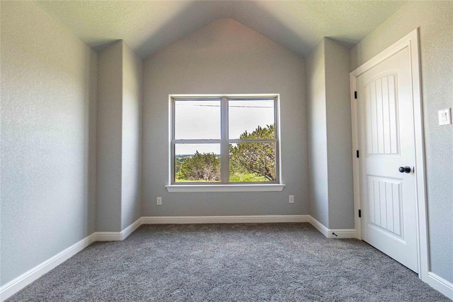 Empty room featuring a textured ceiling, carpet, and vaulted ceiling