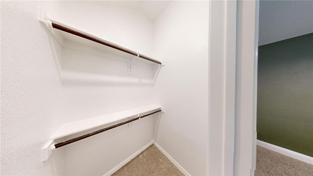 Spacious closet featuring carpet floors