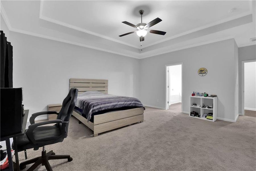 Carpeted bedroom featuring ceiling fan, a tray ceiling, and crown molding