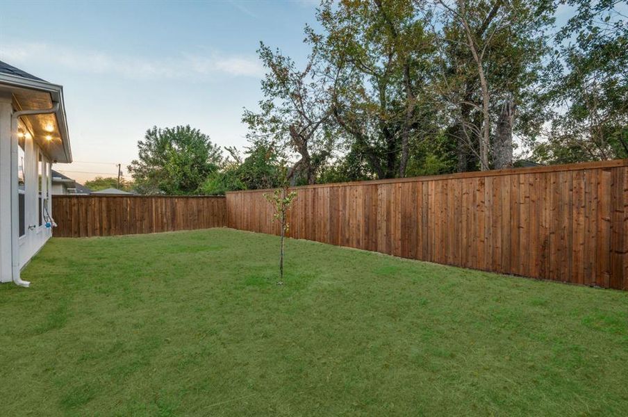 Large Backyard fenced!