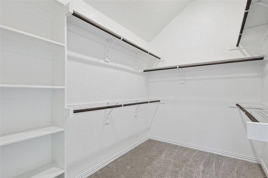 Spacious closet featuring carpet and vaulted ceiling