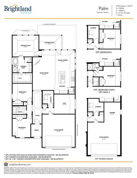 New construction Single-Family house 1301 Ridge Runner Dr, Georgetown, TX 78628 Premier Series - Palm- photo