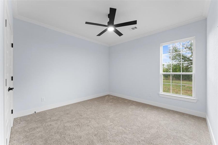 Carpeted spare room with crown molding and ceiling fan