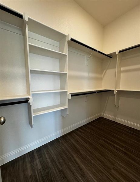 Walk in closet with dark wood-type flooring