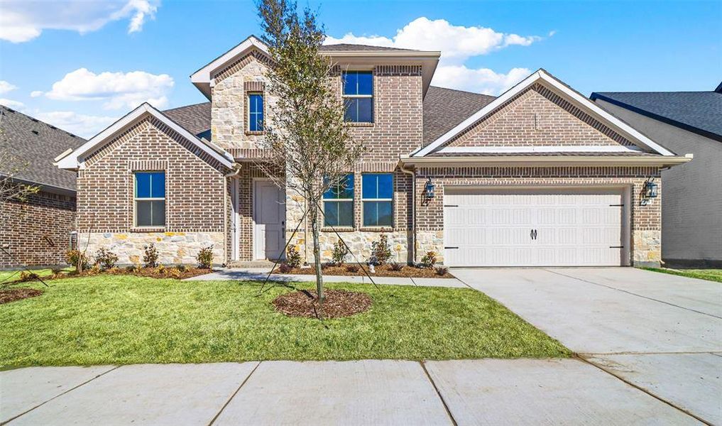 New construction Single-Family house 791 Emerald Heights, Lavon, TX 75166 Munich- photo
