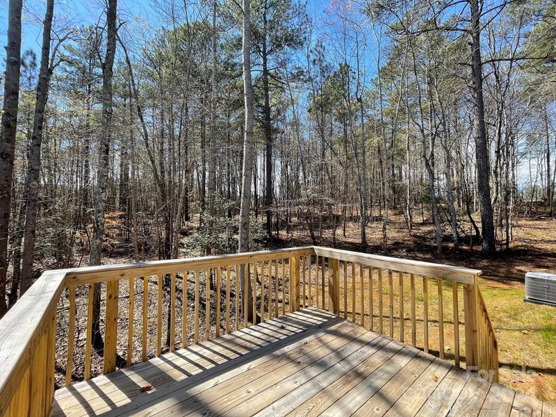 Large deck and mature trees