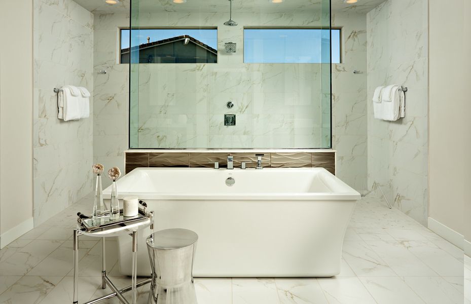 Luxurious Owner's Bathroom