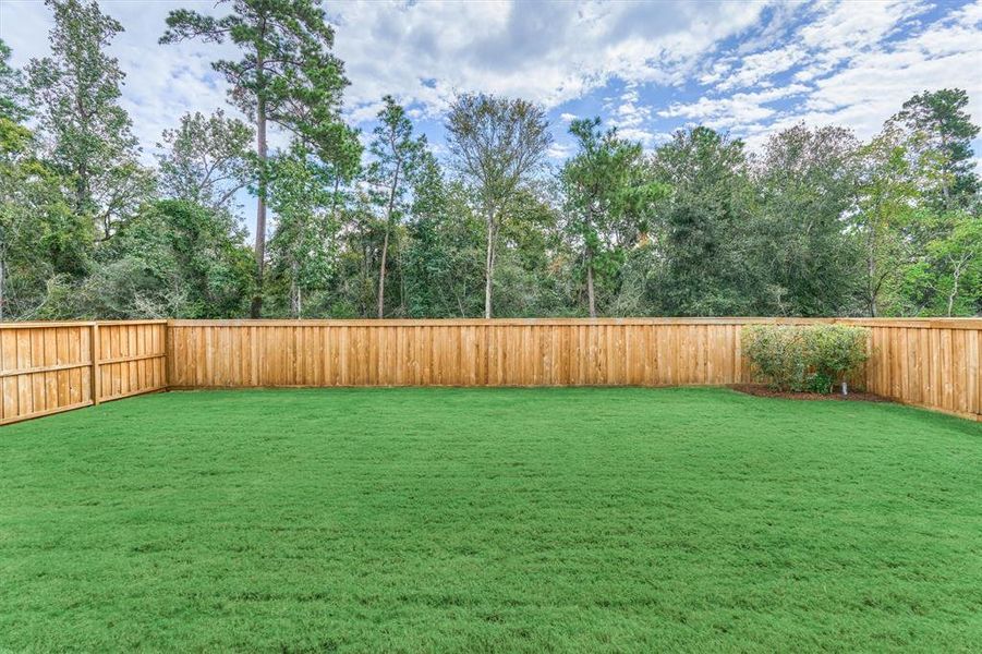 Tranquil greenbelt views from the back porch of this property.