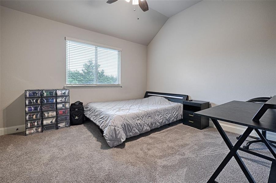 Carpeted bedroom featuring lofted ceiling and ceiling fan