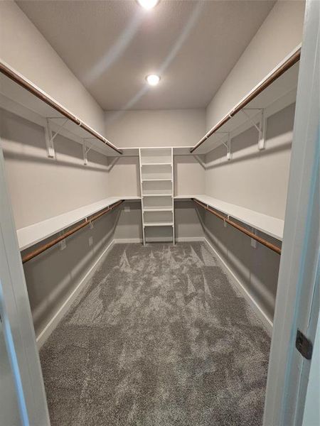 Spacious closet featuring dark carpet