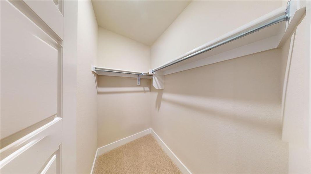 Spacious closet featuring carpet